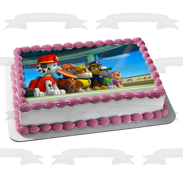 Paw Patrol birthday cake Skye chickaletta | Paw patrol birthday cake, Paw  patrol birthday party cake, Paw patrol birthday cake girl