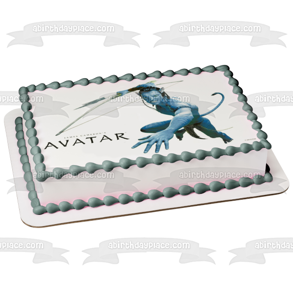 Avatar Jake Sully Bow and Arrow Edible Cake Topper Image ABPID08284