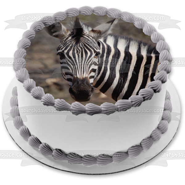 Imagen comestible para decoración de tarta con fondo de árboles y animales de cebra ABPID09556 