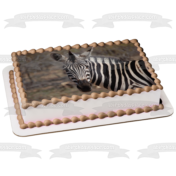 Imagen comestible para decoración de tarta con fondo de árboles y animales de cebra ABPID09556 