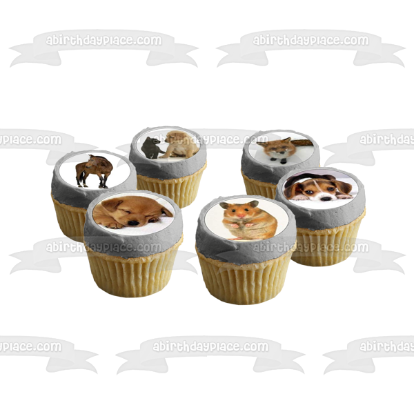 Surtido de animales, gatos, cerdos, caballos, perros, puercoespines, pájaros, conejos, adornos comestibles para cupcakes, imágenes ABPID49822 