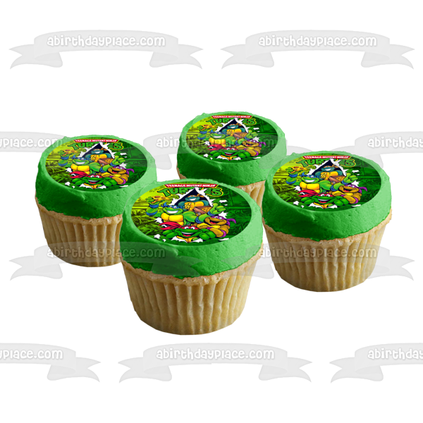 Teenage Mutant Ninja Turtles Donatello Michaelangelo Leonardo Raphael and  Pizza Edible Cake Topper Image ABPID05224