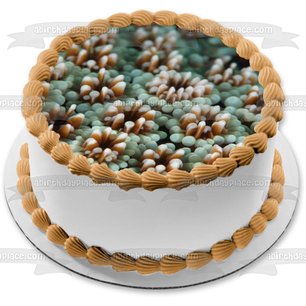 Decoración comestible para tarta con paisaje de coral y vida oceánica, imagen ABPID52520 