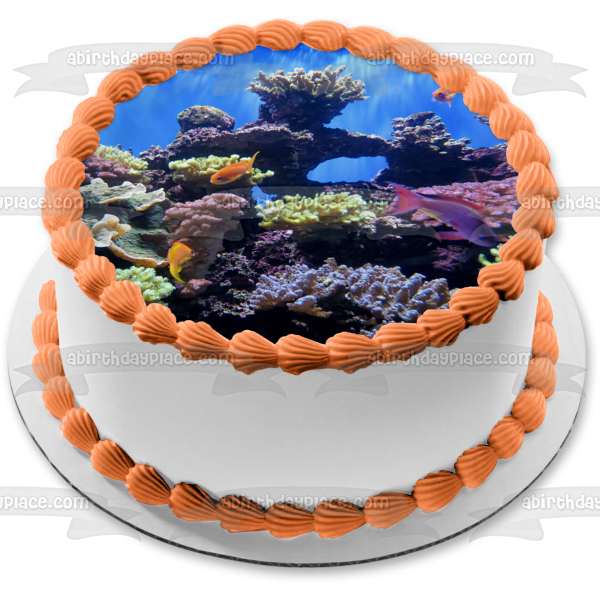 Underwater Ocean Life Fish Coral Edible Cake Topper Image ABPID52575