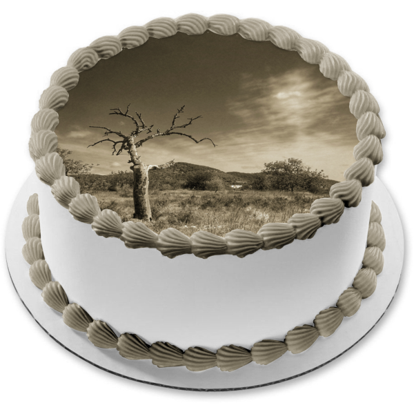 Adorno comestible para tarta con paisaje sombrío en tono sepia de árboles, imagen ABPID52589 