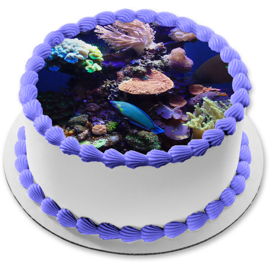 Decoración comestible para tarta con diseño de coral y paisaje marino, imagen ABPID52590 