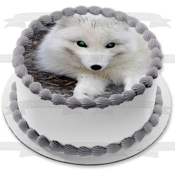 Artic Fox White Fox Wildlife Edible Cake Topper Image ABPID52921