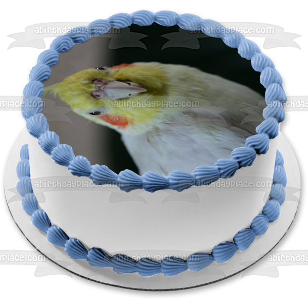 Imagen comestible para tarta con diseño de pájaro cacatúa y animal doméstico ABPID52948 