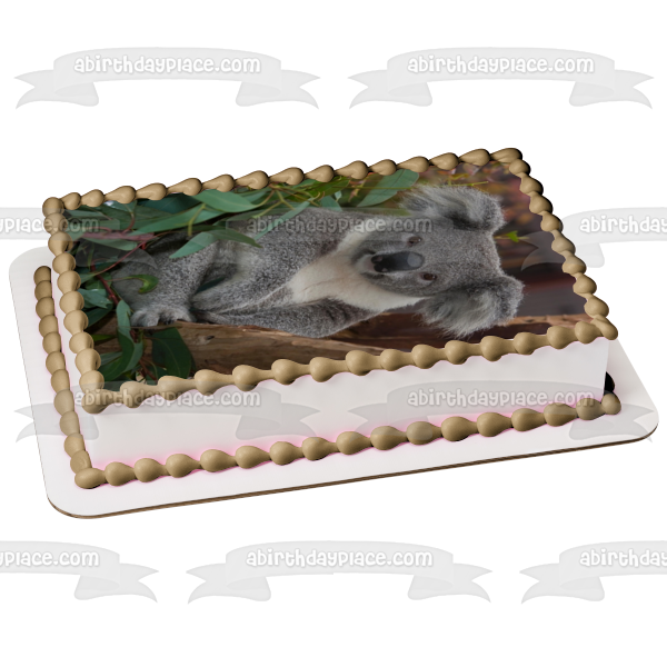 Imagen comestible para decoración de tarta con hojas de árboles de oso koala ABPID10082