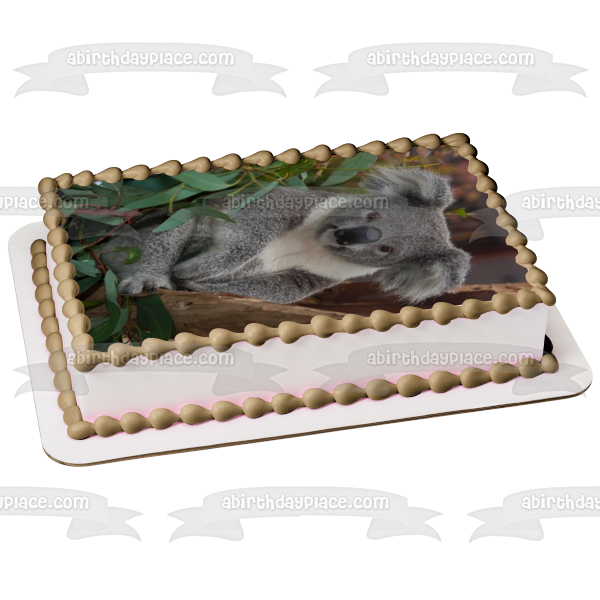 Koala Bear Trees Leaves Edible Cake Topper Image ABPID10082 – A Birthday  Place
