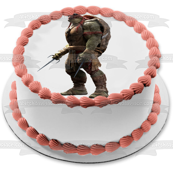 Teenage Mutant Ninja Turtles Raphael Life Like Edible Cake Topper Image ABPID10760