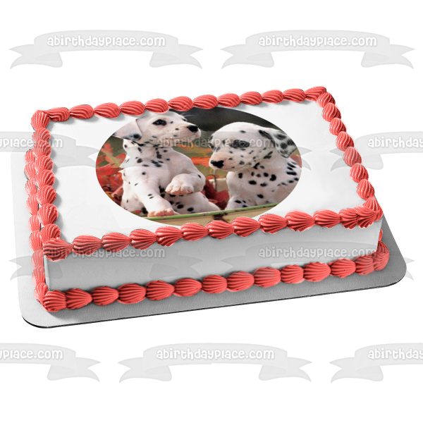 Dalmatian cake clearance topper