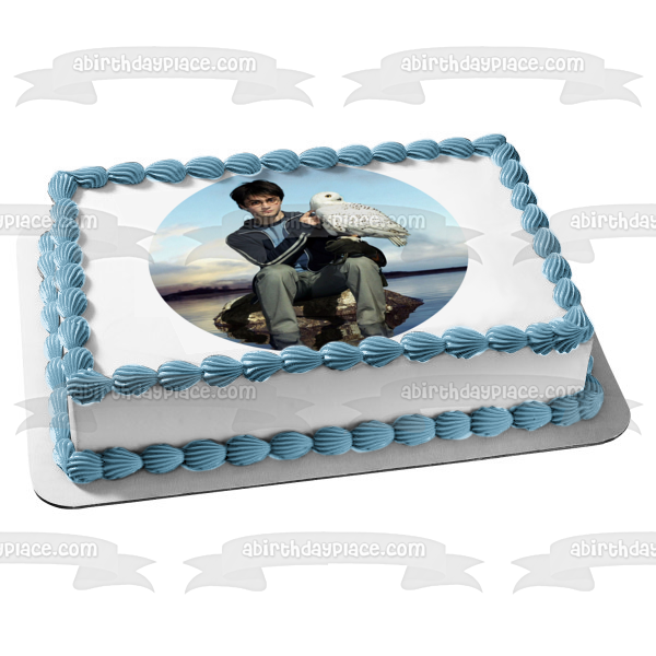 Harry Potter and the Prisoner of Azkaban Hedwig Blue Sky Background Edible  Cake Topper Image ABPID11872