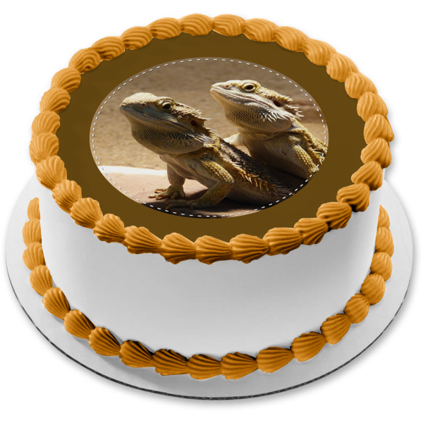 Iguana Lizard Cake Topper 7.5 Inch Personalised Edible on Icing Sheet with  HI-RES Image : Amazon.co.uk: Grocery