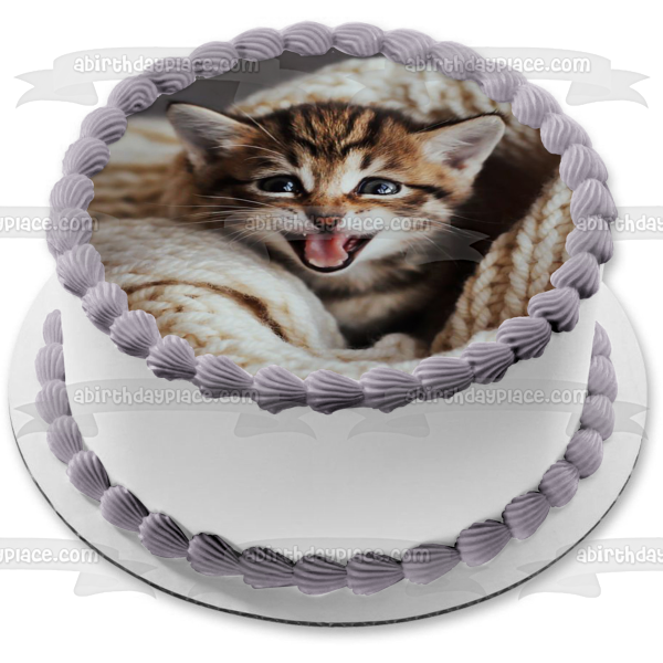 Imagen de adorno comestible para pastel de gato con manta tejida ABPID50259 