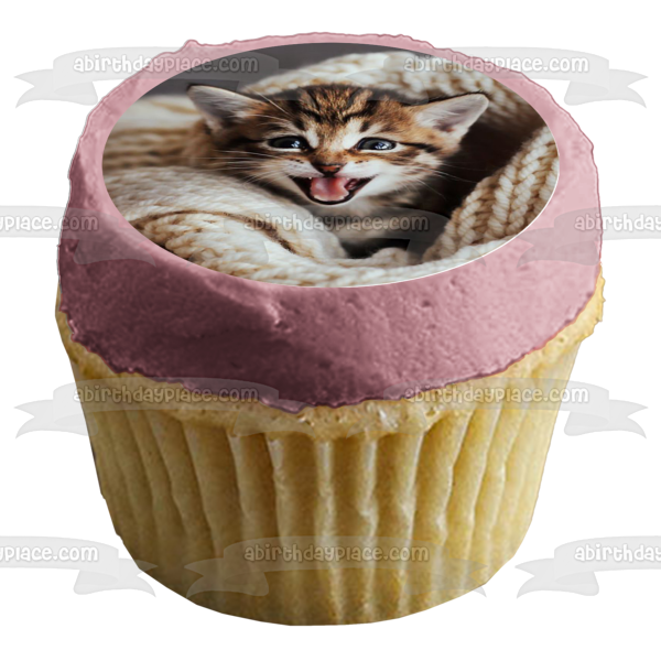 Imagen de adorno comestible para pastel de gato con manta tejida ABPID50259 