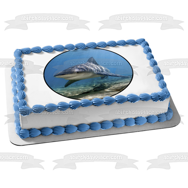 Ocean Life Shark Underwater Rocks Edible Cake Topper Image ABPID27737