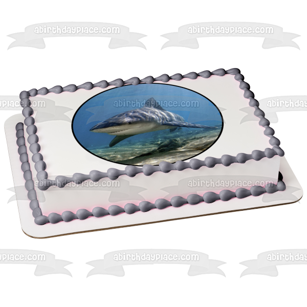 Ocean Life Shark Underwater Rocks Edible Cake Topper Image ABPID27737