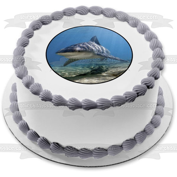 Ocean Life Shark Underwater Rocks Edible Cake Topper Image ABPID27737