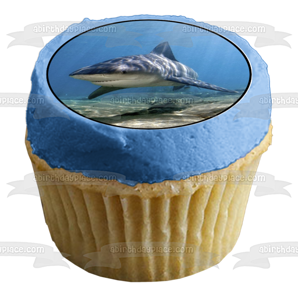 Ocean Life Shark Underwater Rocks Edible Cake Topper Image ABPID27737