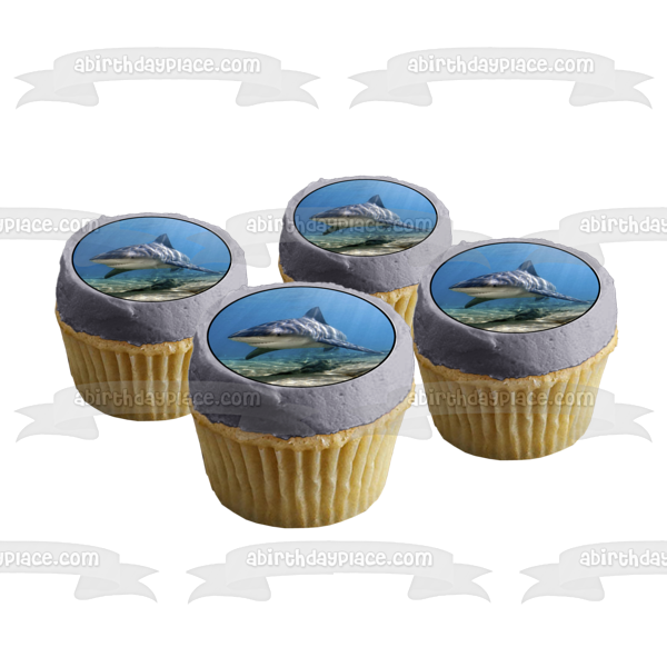 Ocean Life Shark Underwater Rocks Edible Cake Topper Image ABPID27737