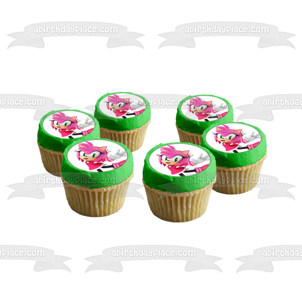 Imagen comestible para decoración de tarta de Sonic the Hedgehog Amy Rose ABPID12421 