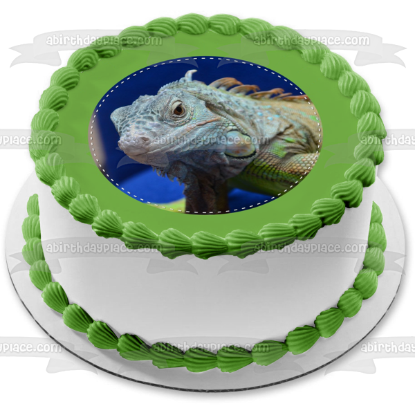 Iguana Herbivorous Lizard Green Edge Edible Cake Topper Image ABPID22307