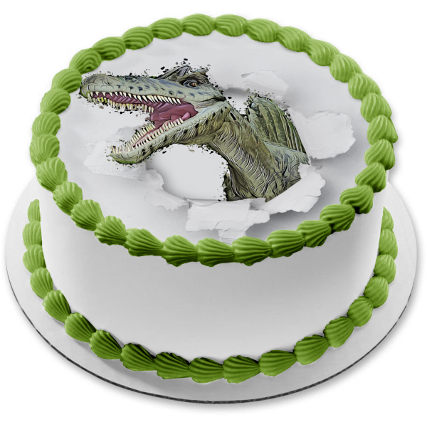 Round Dinosaur Burst Edible Cake Topper Image Edible Cake Topper Image ABPID50272