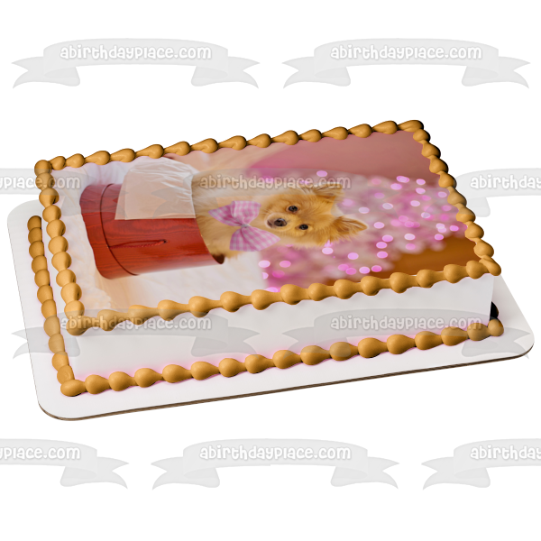 Imagen de adorno comestible para pastel de perro Pomerania navideño ABPID50456 