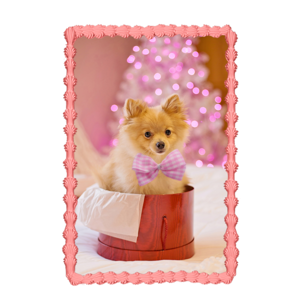 Imagen de adorno comestible para pastel de perro Pomerania navideño ABPID50456 