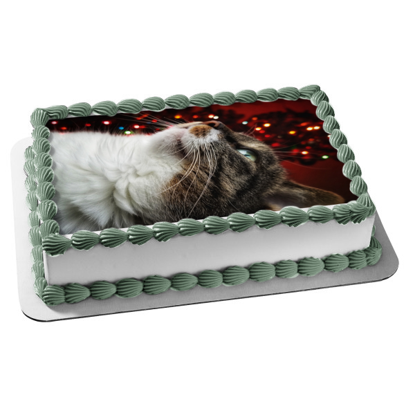 Imagen comestible para decoración de tarta con diseño de gato navideño majestuoso ABPID50464 