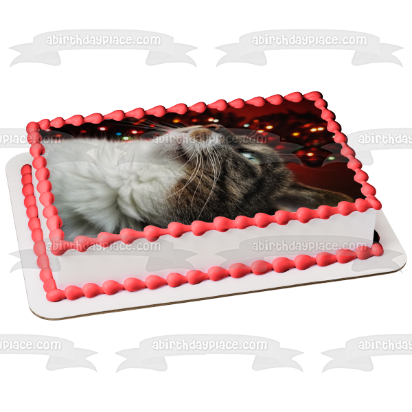 Imagen comestible para decoración de tarta con diseño de gato navideño majestuoso ABPID50464 