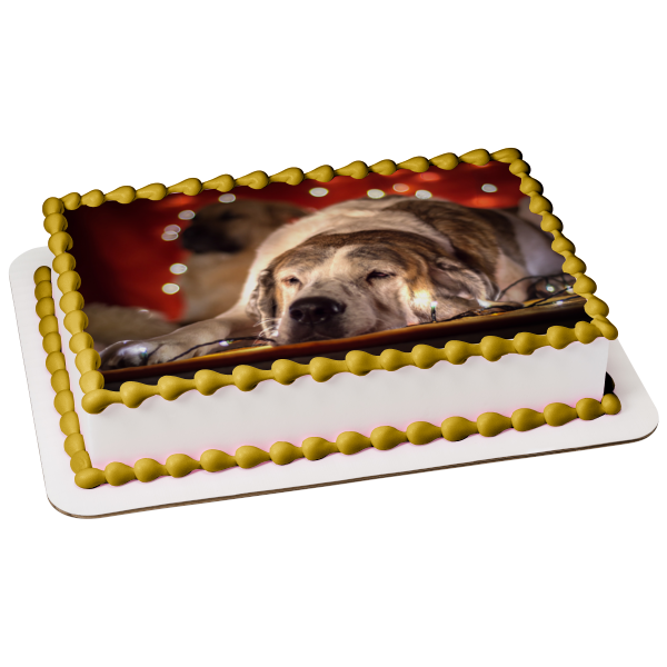 Imagen comestible para tarta con diseño de perro con luces navideñas soñolientas ABPID50469 