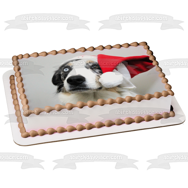 Holiday Hat Australian Shepherd Dog Edible Cake Topper Image ABPID50470