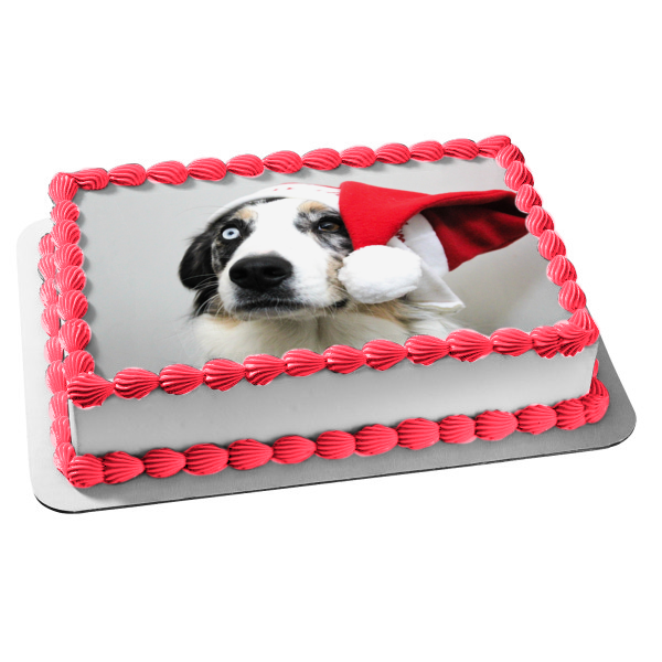 Holiday Hat Australian Shepherd Dog Edible Cake Topper Image ABPID50470