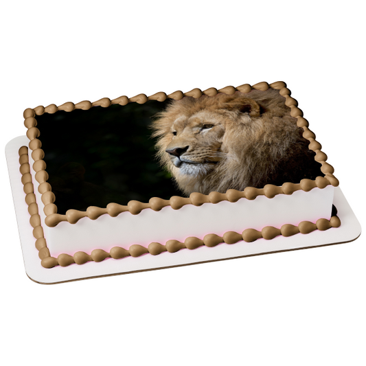 Majestic Lion Edible Cake Topper Image ABPID50478