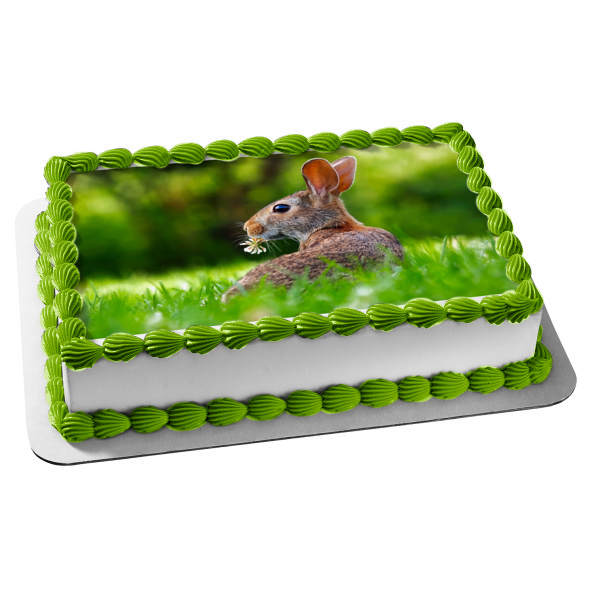 Conejo relajándose en la hierba verde Imagen comestible para decoración de tarta ABPID50481 