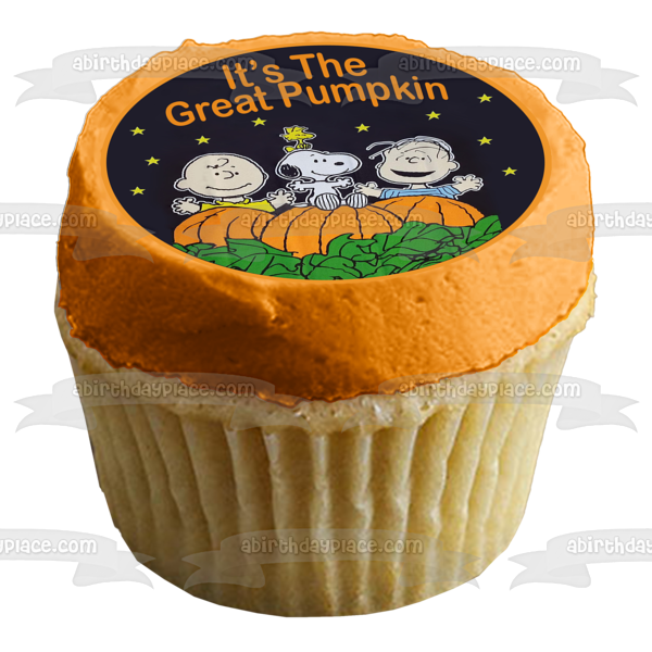 Peanuts Charlie popular Brown❌Great Pumpkin Charlie Brown Baking Dish❌