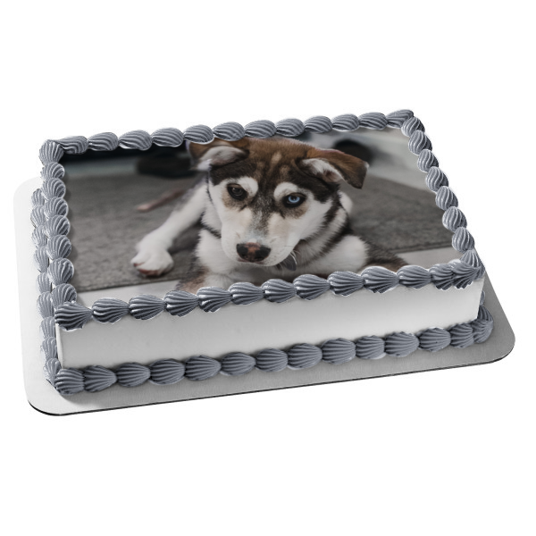 Imagen comestible para decoración de tarta de cachorro Husky ABPID51008 