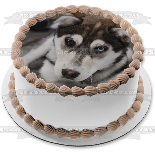 Imagen comestible para decoración de tarta de cachorro Husky ABPID51008 