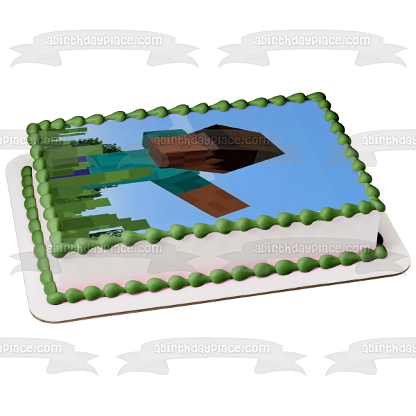 Imagen comestible para decoración de tarta de Minecraft Steve Dabbing ABPID51125 