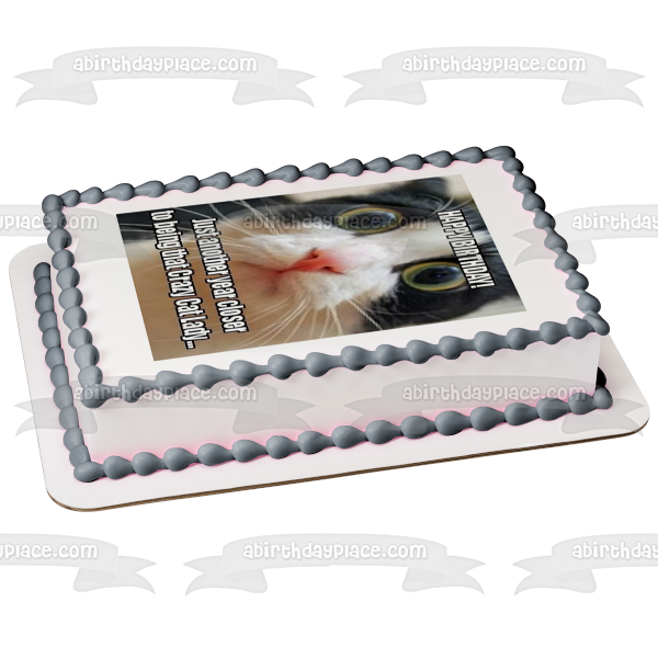 Meme Happy Birthday Crazy Eyed Cat Crazy Cat Lady Edible Cake Topper Image ABPID51484