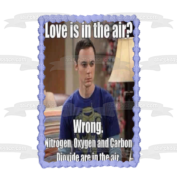 Meme the Big Bang Theory Sheldon Cooper Love Is In the Air Edible Cake Topper Image ABPID51490