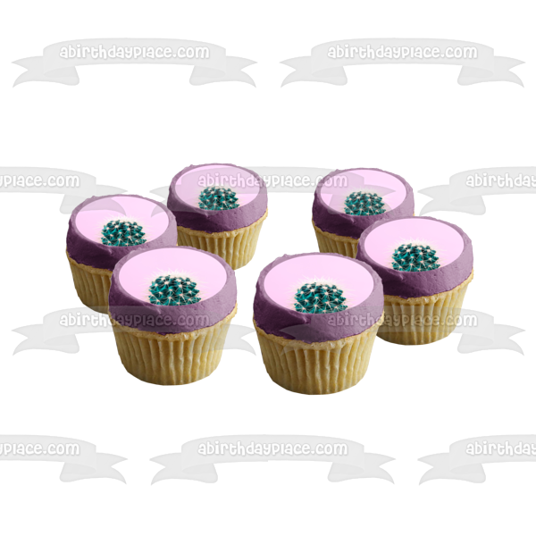 Lone Cactus Suculento Cactus Flor Planta Comestible Cake Topper Imagen ABPID52257 