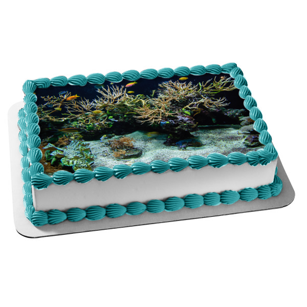 Imagen comestible para tarta con diseño de pez y coral de Ocean Life ABPID52610 