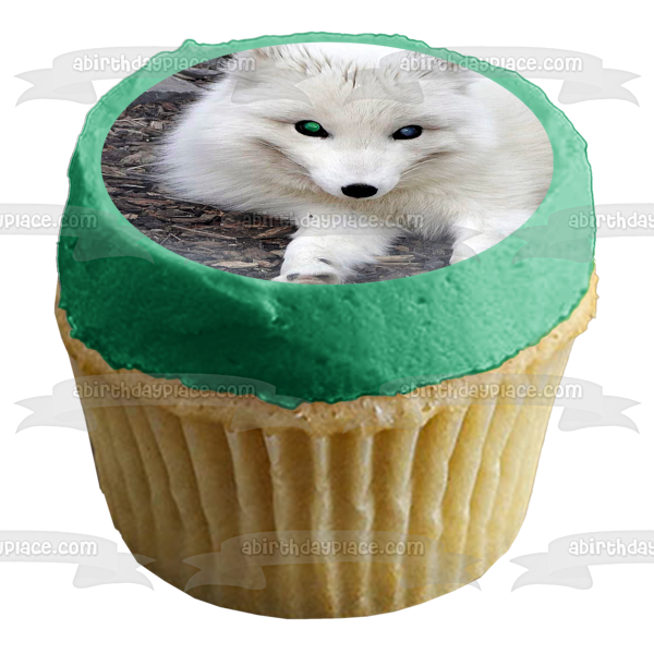 Artic Fox White Fox Wildlife Edible Cake Topper Image ABPID52921