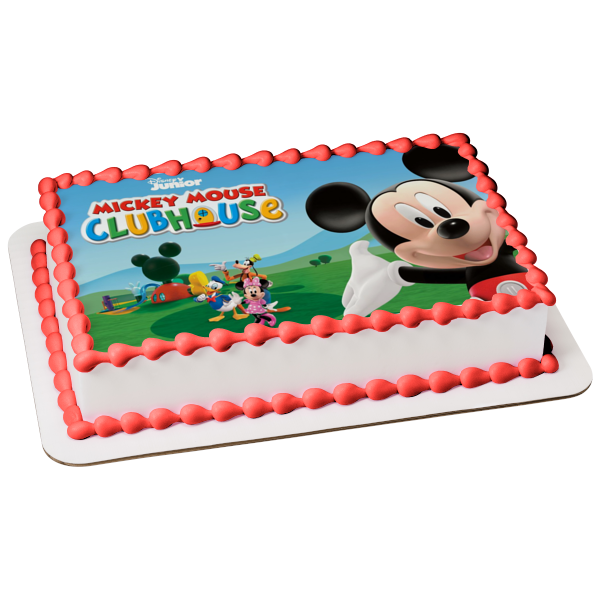 Mickey Minnie Floral Cake with toppers (Design 2) – BakeAvenue