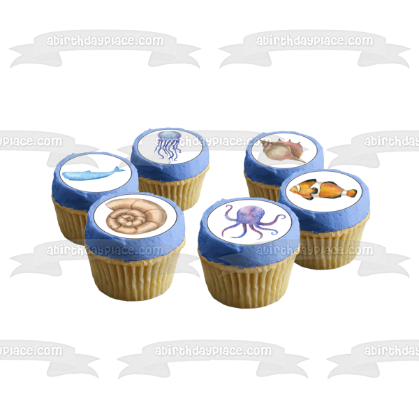 Acuarela Marina Océano Vida Marina Pulpo Caracol Medusa Peces Comestible Cupcake Topper Imágenes ABPID54635 