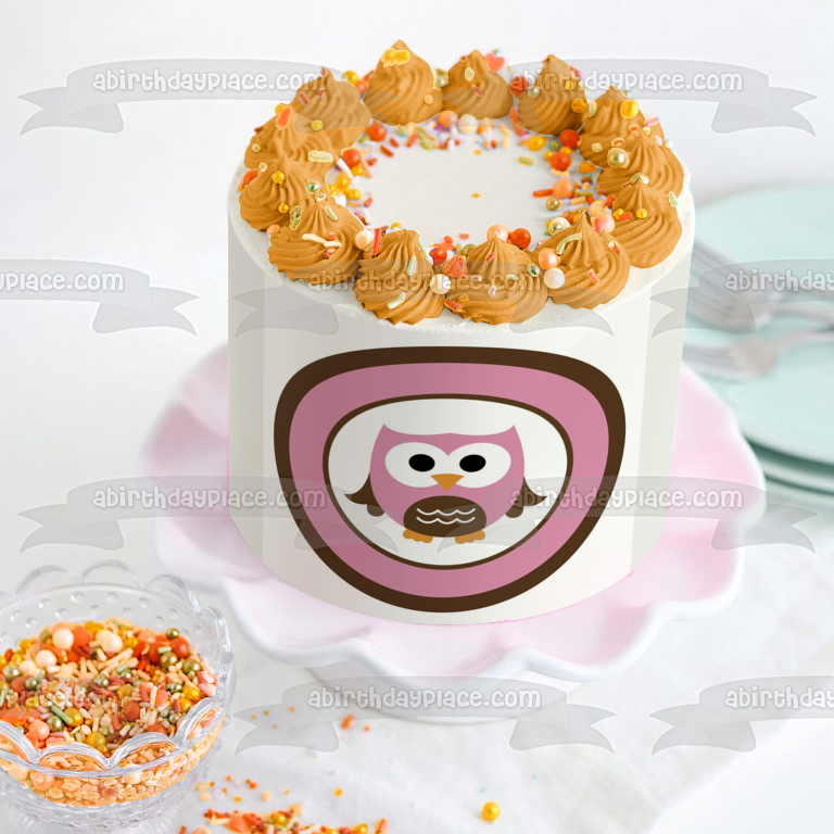 Cute Owl Pink and Brown Circle Edible Cake Topper Image ABPID04567