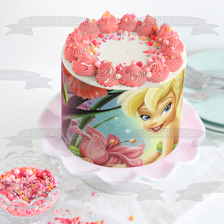 Disney Fairies Tinkerbell Flowers Edible Cake Topper Image ABPID08412